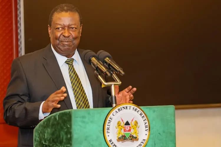Kenya launches digital trade platforms to execute intra-African deals