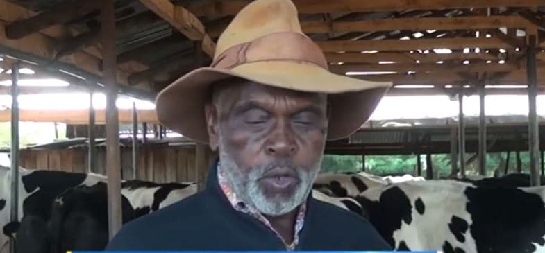 Bomet farmer earns Sh12,600 a day from dairy farming