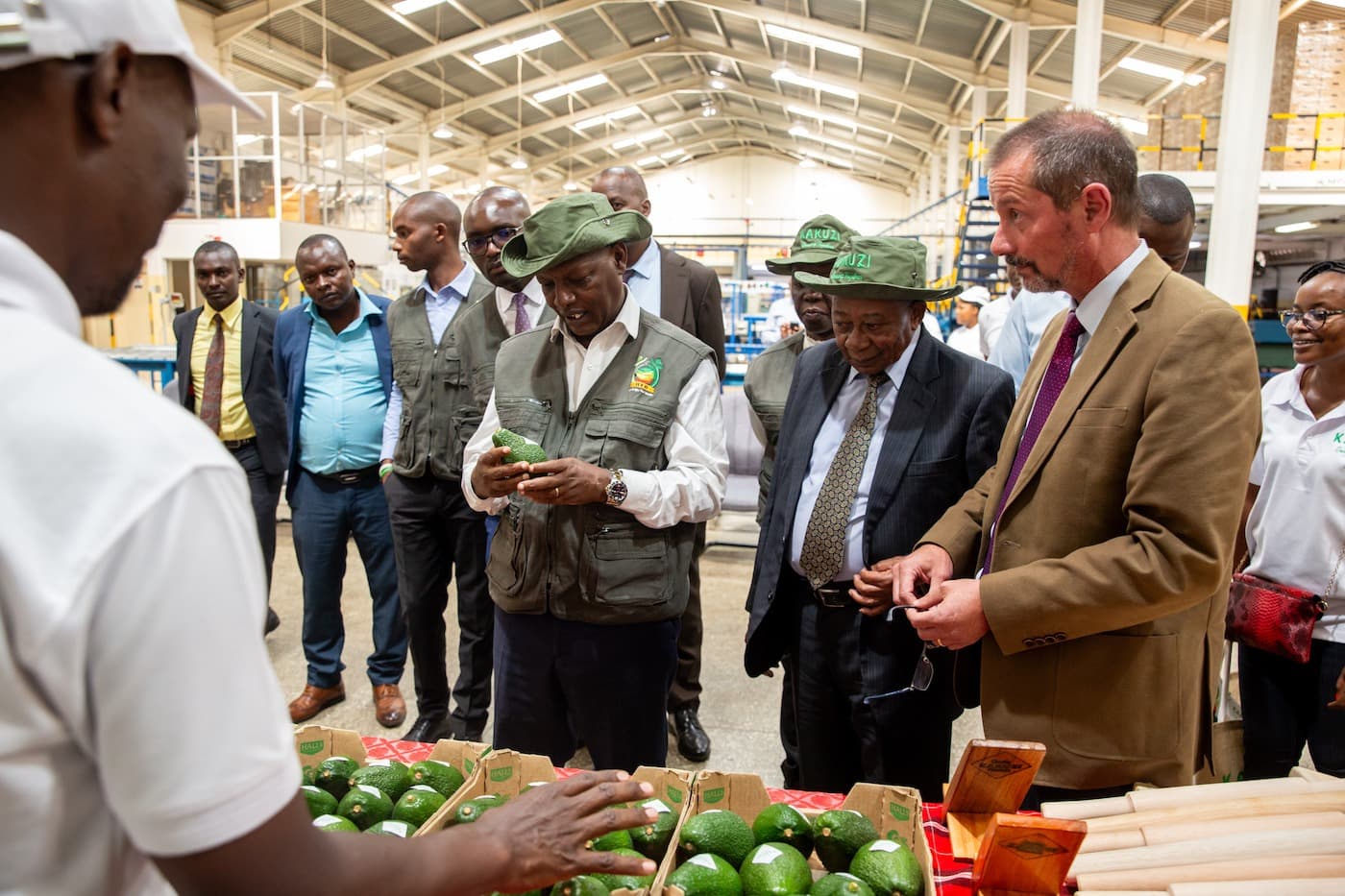 Smallholder Farmers Get Ksh10 Million Avocado Bonus