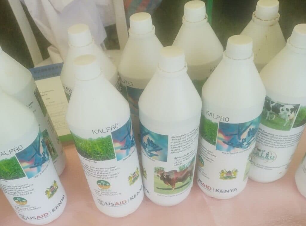 KALRO livestock size booster increased production 30%