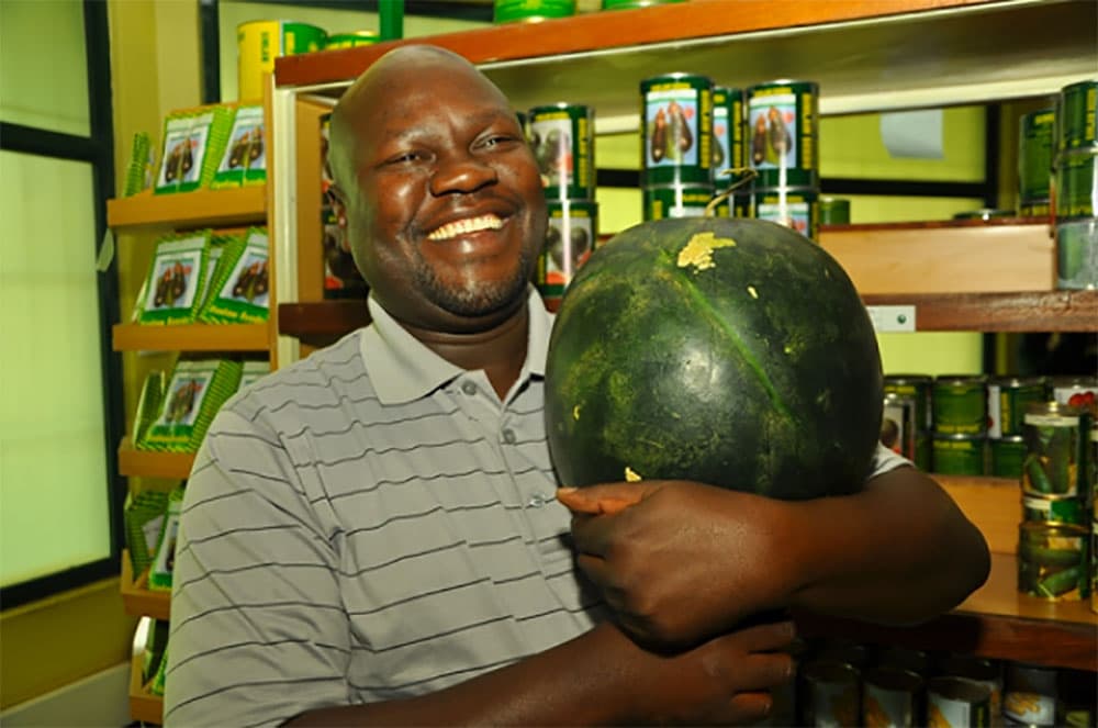Hybrid watermelon can earn farmers Sh2 million in two months
