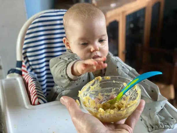 How to Introduce Hummus to Baby