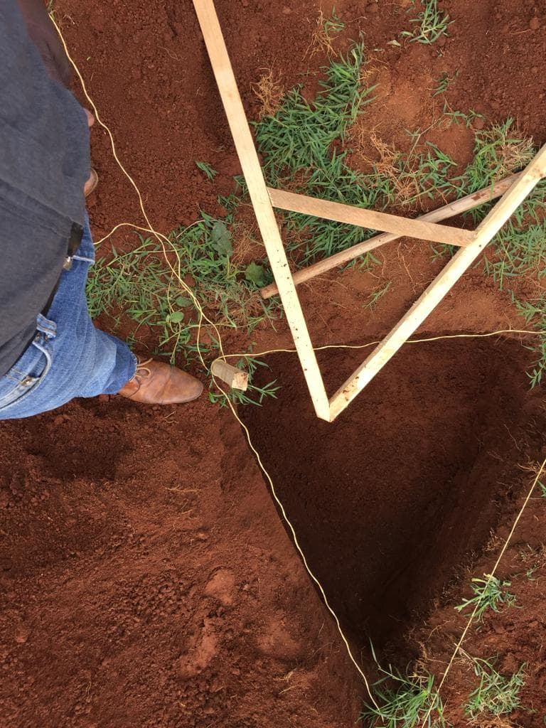 New farming technology increases crop yields by 500 to 2000 per cent