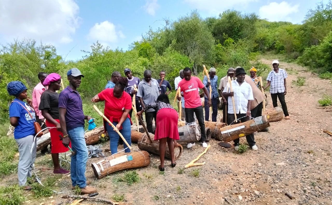 Kenya Forest Service raises alarm over declining bee population