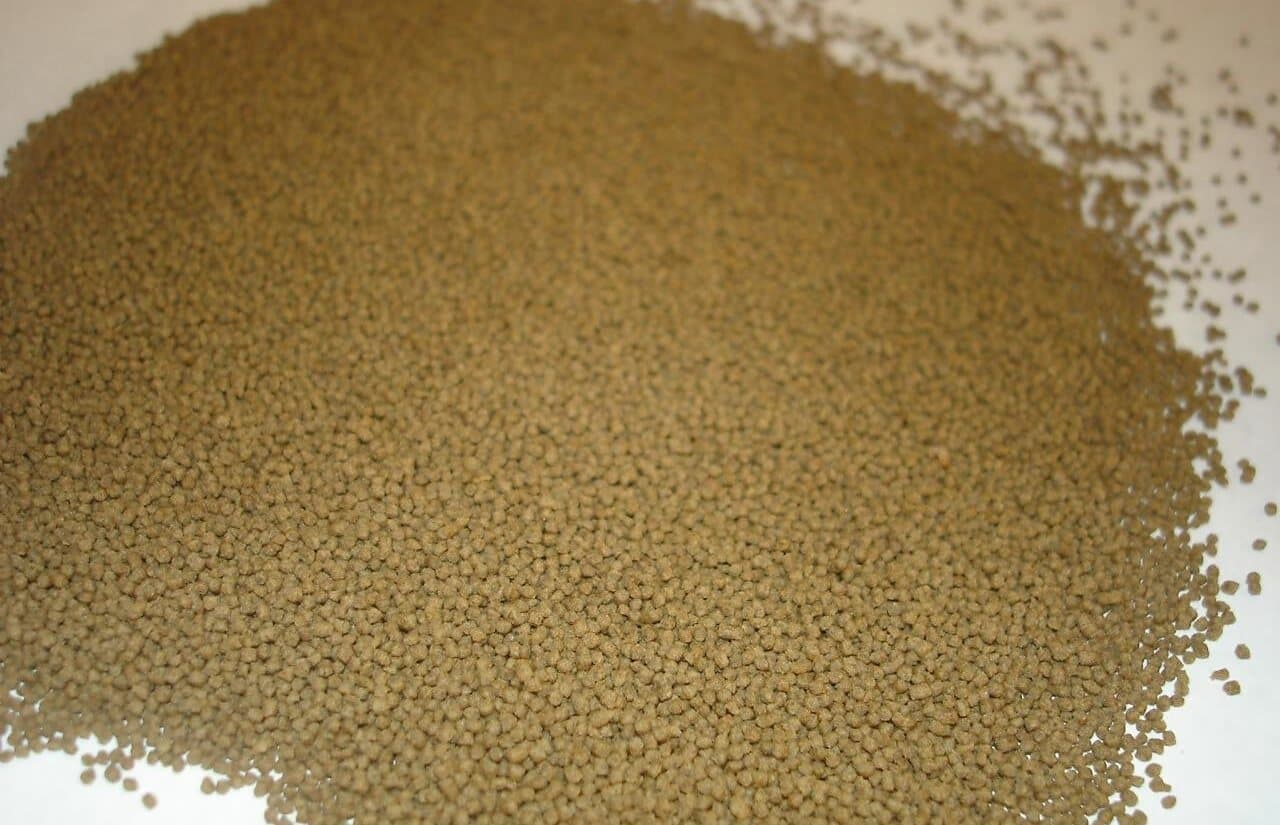 Floating fish pellets quickens maturity