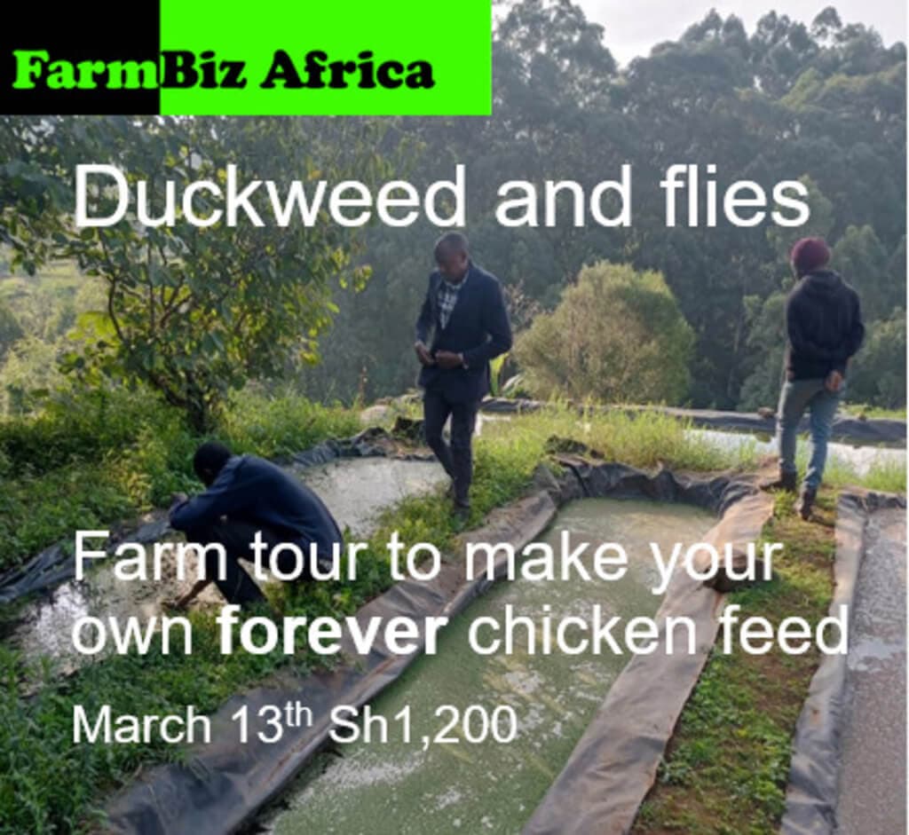 FarmBiz kicks off countrywide farm tours targeted at doubling farmer profits