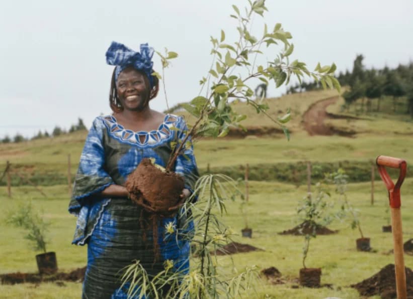 Nobel Prize Celebrates Wangari Maathai on Mazingira Day