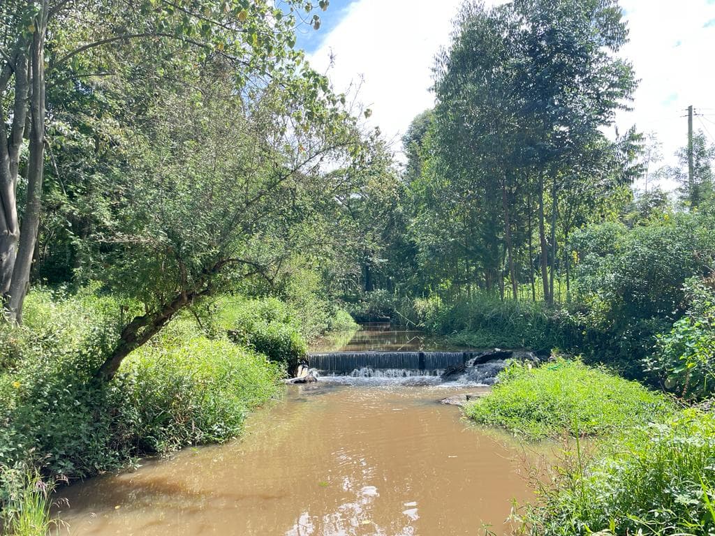 County Government embarks on beaconing the endangered River Njoro