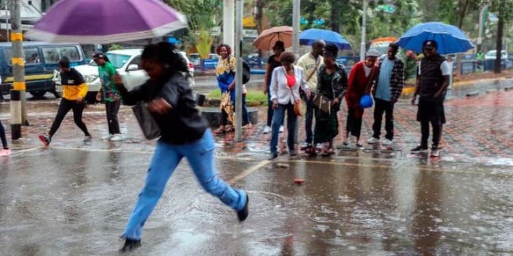 Kenya Met Issues Six Regions Expected to Receive Rainfall in the Next 7 Days