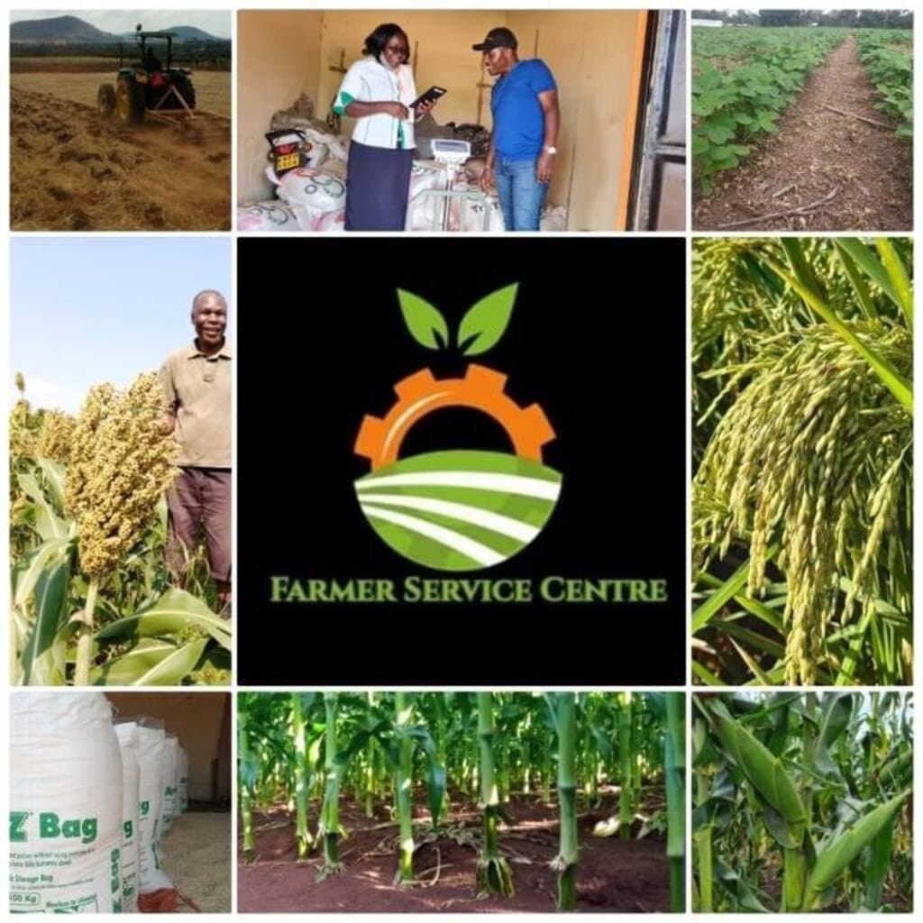300+ extension network helps farmers hack farm to market value chain