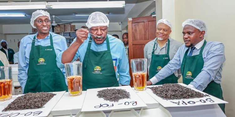 Earnings of Tea and Coffee Farmers in Mt Kenya Rise as Reforms Take Effect