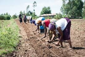 Forum launched to help farmers evolve and grow their businesses