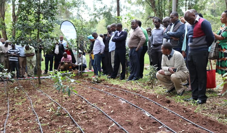 Water and energy solutions firm launches irrigation systems in 24 counties