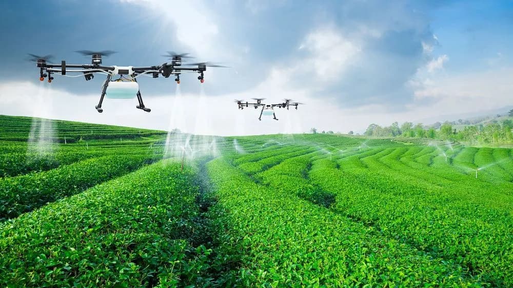 Egypt trials smart irrigation and artificial intelligence technologies to optimise water use in agriculture