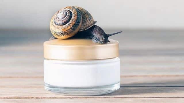 Skincare: The Beauty Benefits Of Snail Slime