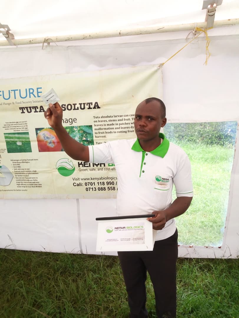 Cheap and simple trap that can end Fall Armyworms in less than a week
