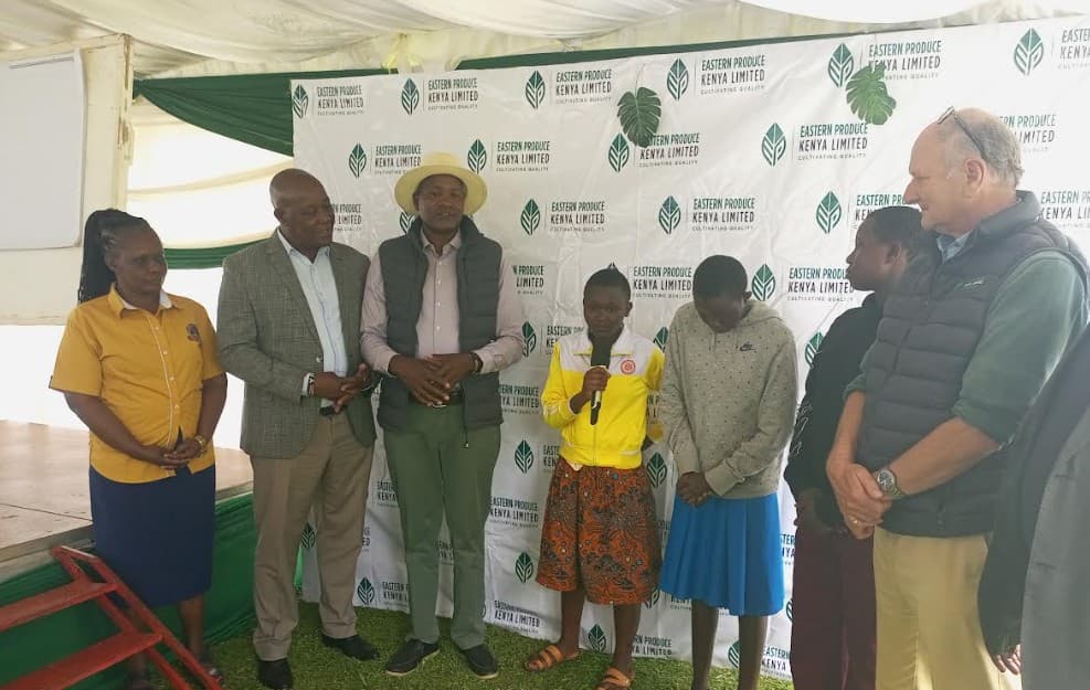 Tea company offers mentorship, scholarship to senior school learners
