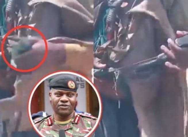 Man With Fake Gun Sparks Panic at Likoni Ferry, Police Confirm Mental Health Case