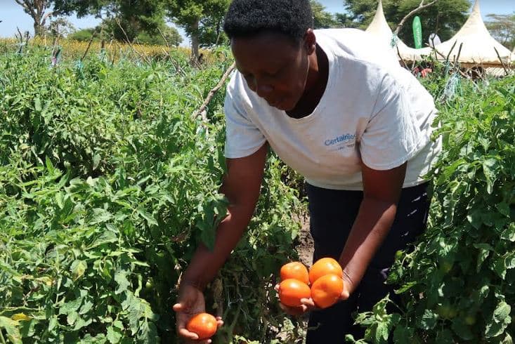 Bomet adopts African Agriculture Adaptation Atlas
