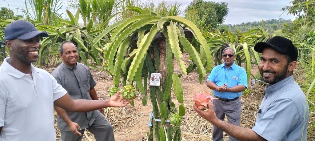 Dragonfruit farmer creates health and wealth, launching Vietnamese semi-arid crop in Kenya