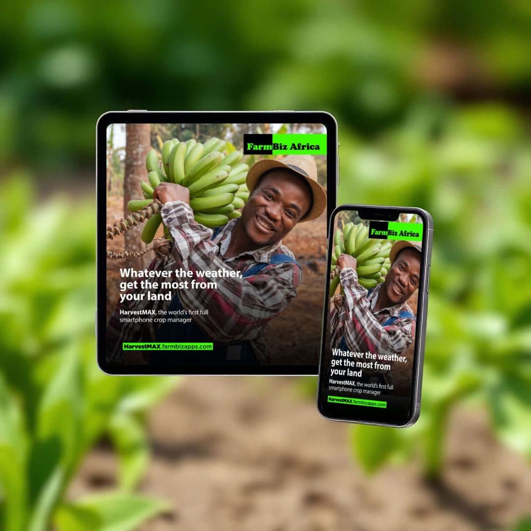 FarmBizAfrica launches AI tool to help Kenyan farmers choose survival crops for 2026 planting