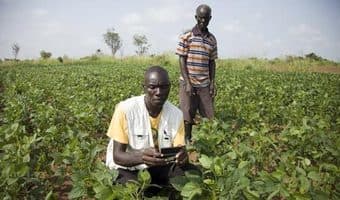 Online agribusiness directory brings markets closer to Ugandan farmers