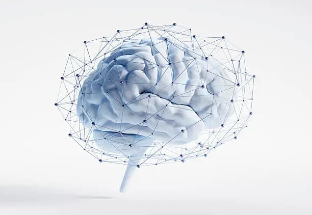 How to Improve Oxygen in the Brain
