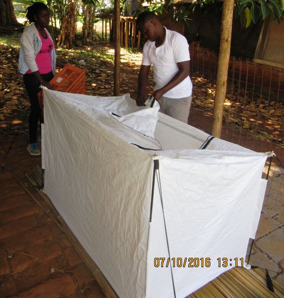 Varsity students introduce solar-powered tent that keeps agroproduce cool for more than five days
