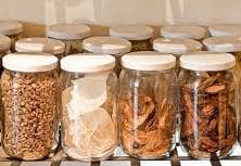 Scientists pitch for herbal medicine to cure livestock diseases