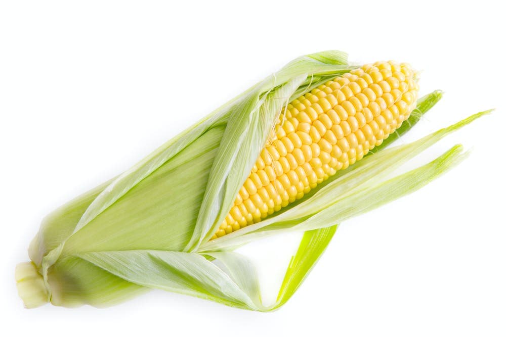 FarmBiz TV: Green maize offers fast route to harvest as shortage looms