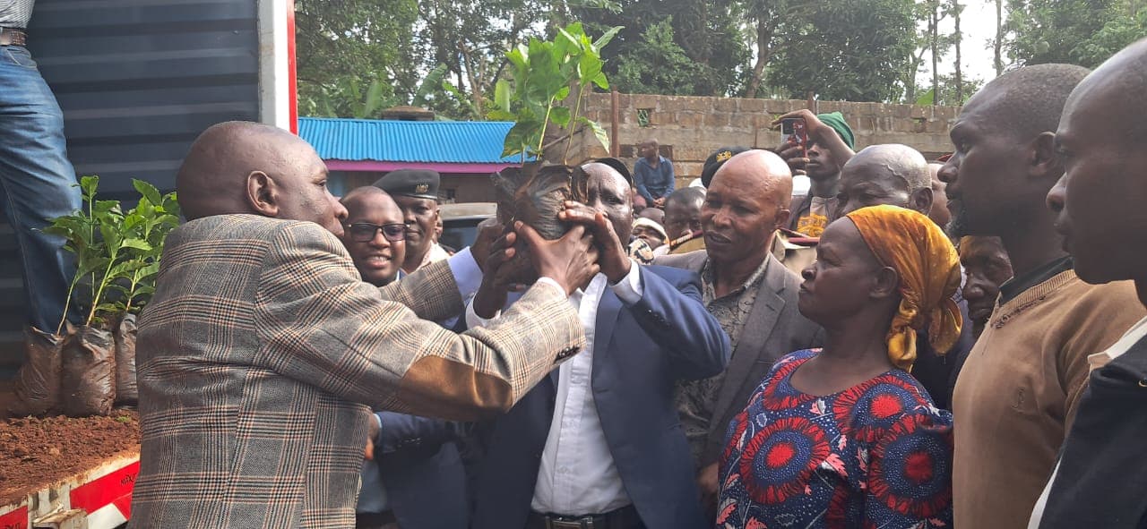 Government launches 20 million coffee seedlings programme