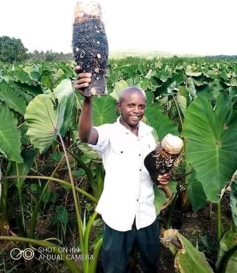 MPS call for alternative foods production to bolster food security