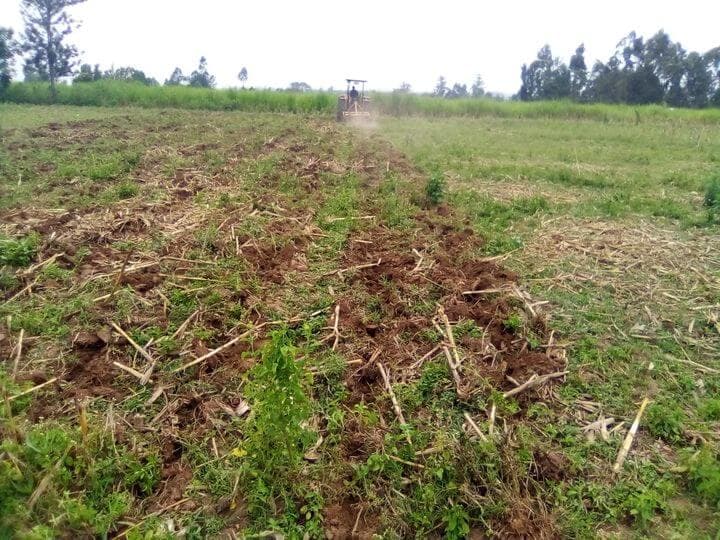 Farmers half costs with ripper ploughing in conservation agriculture