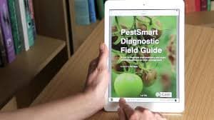 An e-learning course set to equip farmers with practical skills to fight pests and diseases