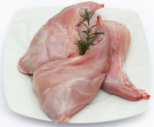 Fact Sheet: Best rabbit varieties for meat breeding in Kenya – Part 2
