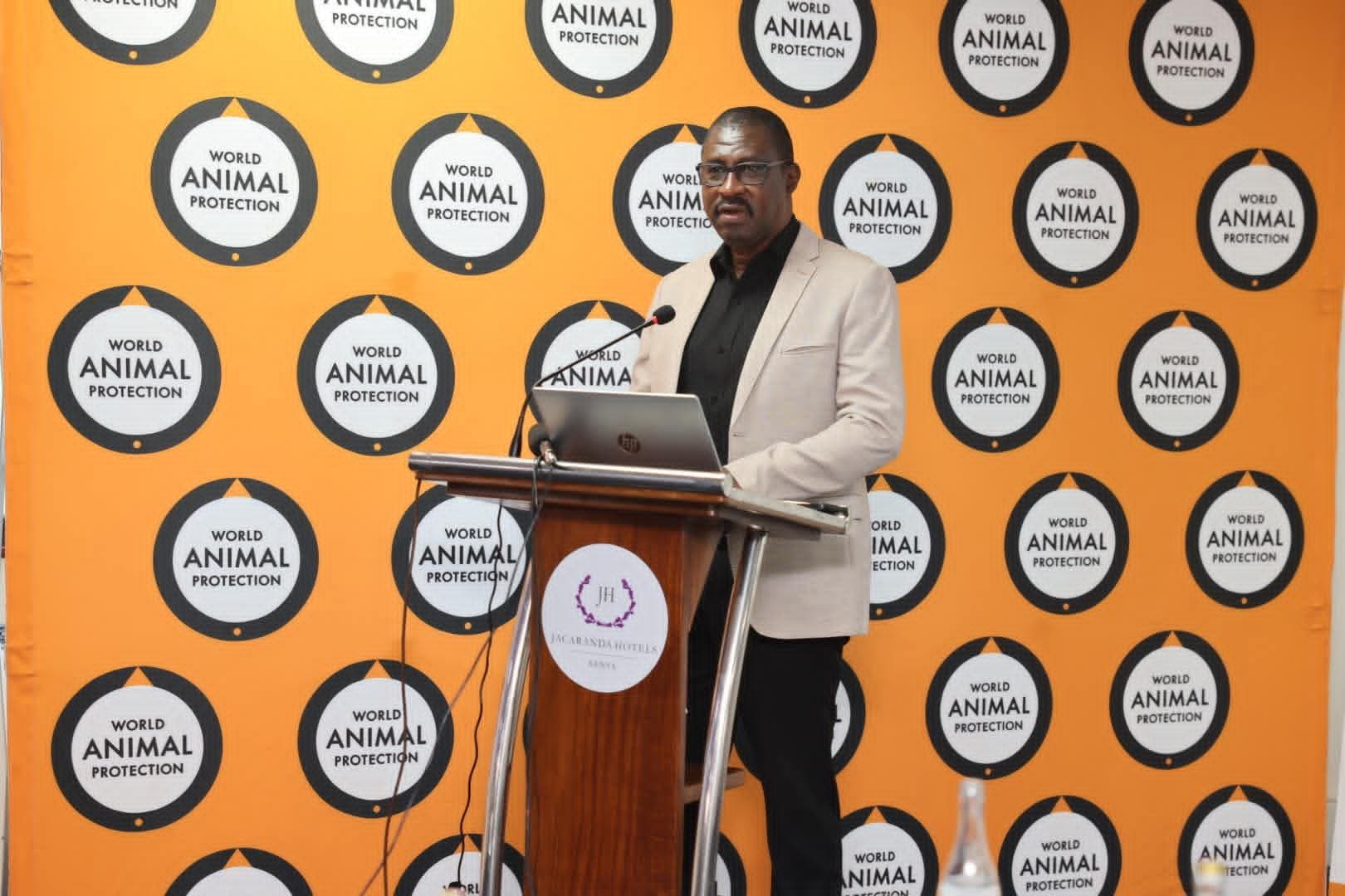 Kenya’s live reptile exports surge, as over 870,000 animals enter global trade