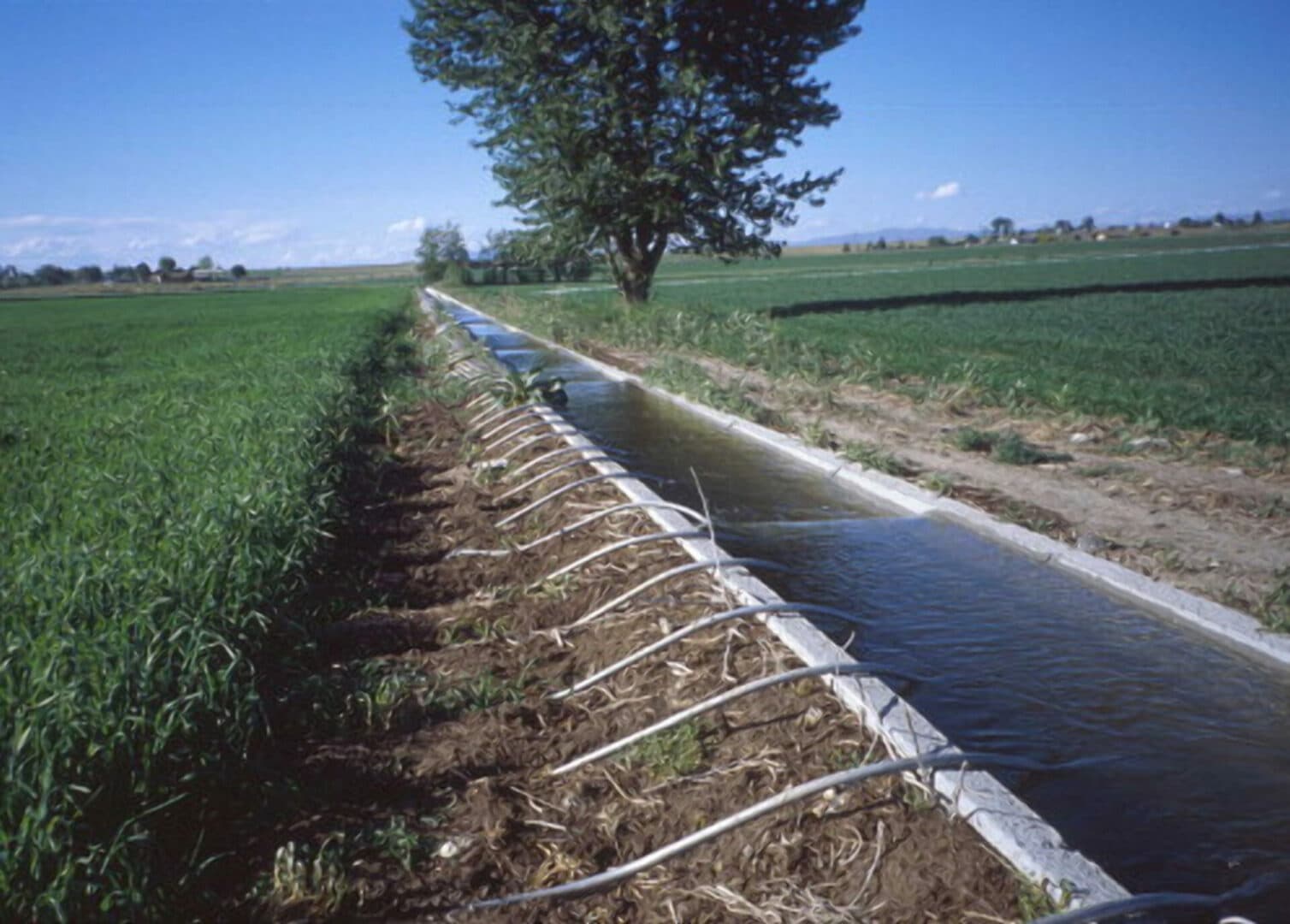 State’s plan to improve irrigation sector, produce more food, create jobs
