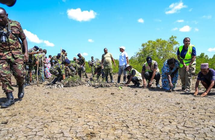 KDF intensifies Mangrove restoration drive to protect Coastline, combat climate change