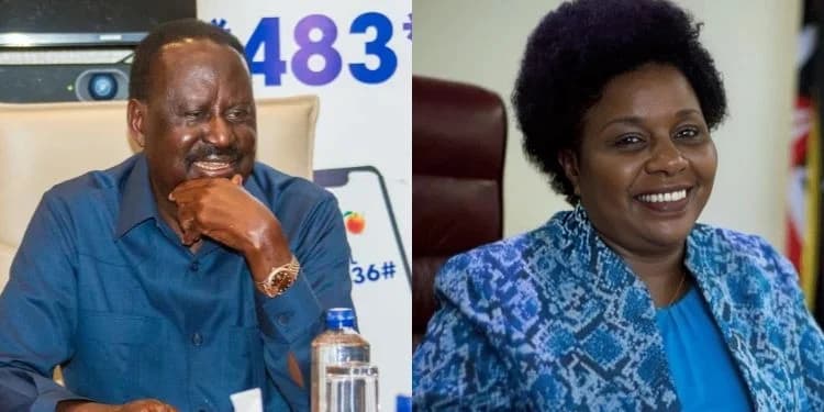 Raila Odinga, Farah Maalim, Among 242 Kenyans Nominated for National Hero Status {FULL LIST}