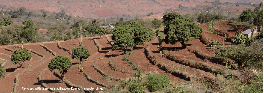 Fanya Juu terraces guard soil erosion, double farmer yields