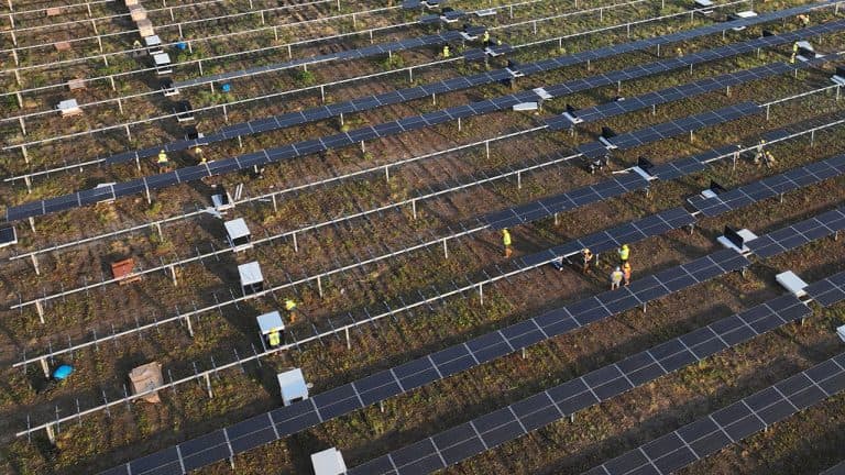 All about the Ables Springs solar + storage Project, Texas