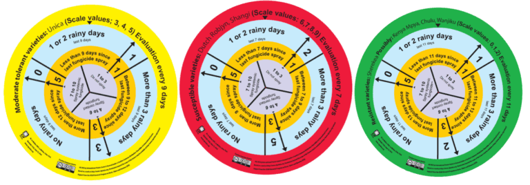 Potato Center introduces simple paper card cutting fungicide use by 50%