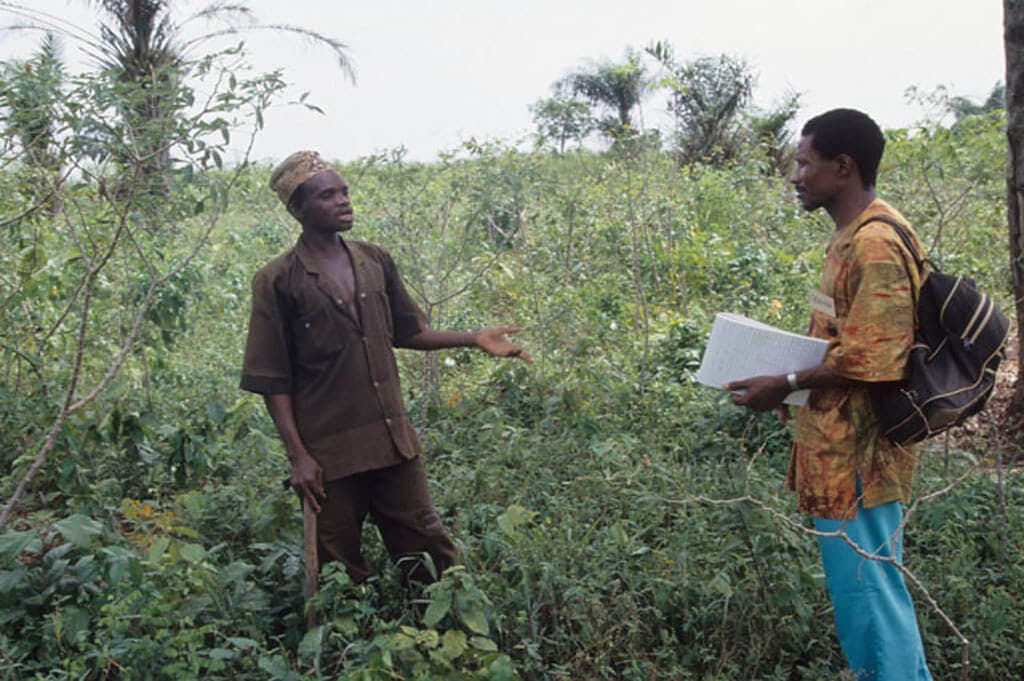 Roundup agriculture jobs in Kenya-2nd June 2025