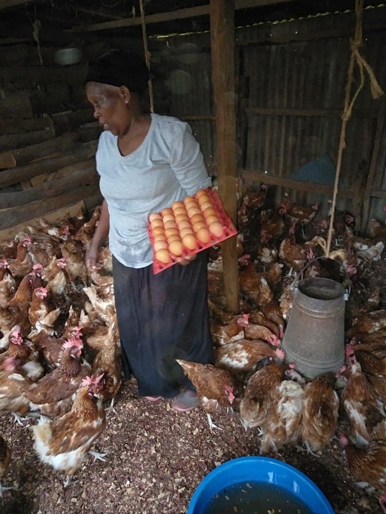Kiambu housewife excels in poultry farming