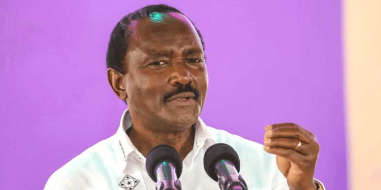 What Kenyans Should Expect Under Kalonzo’s Presidency