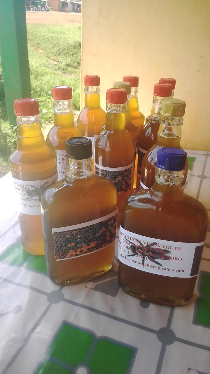 Nyamira farmer uses a tenth acre piece of land for high honey returns