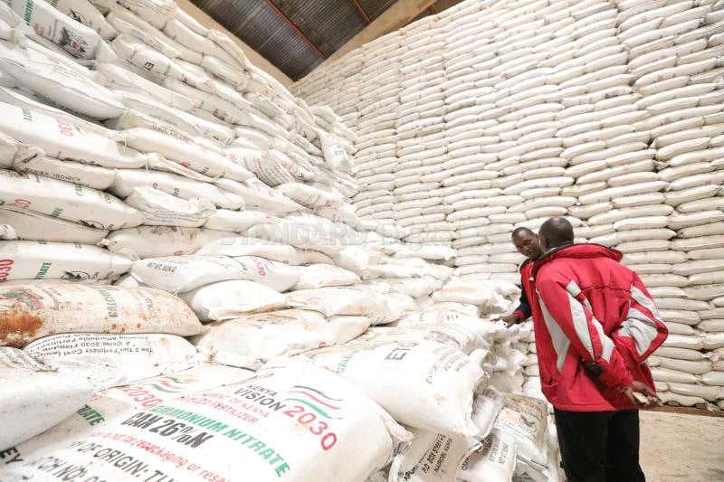 Late buyers hit as fertiliser prices double on war disruption