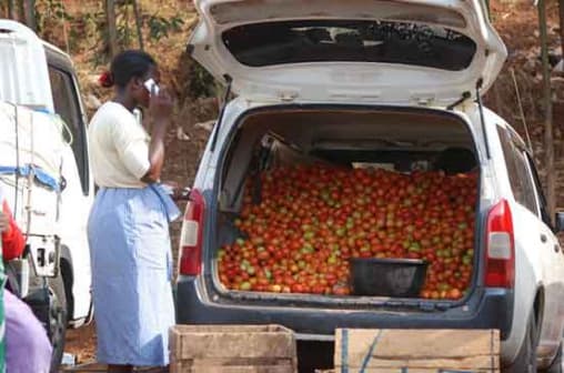 Plan to improve regional road networks, good news for small-scale farmers