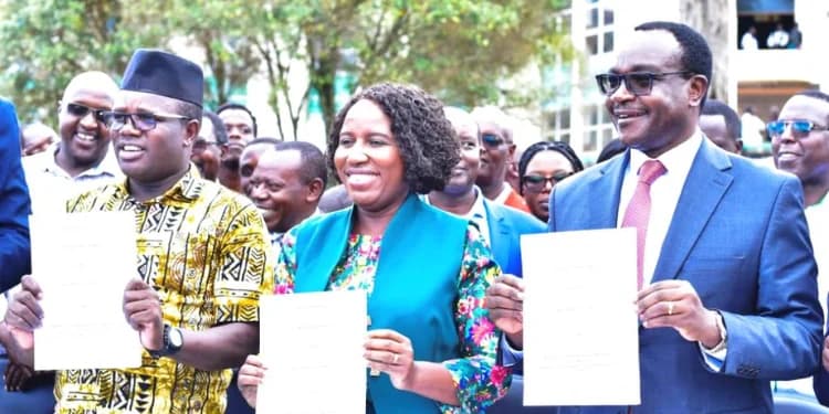 Breakdown of University Lecturers New Salaries; Highest Paid to Earn Ksh397K