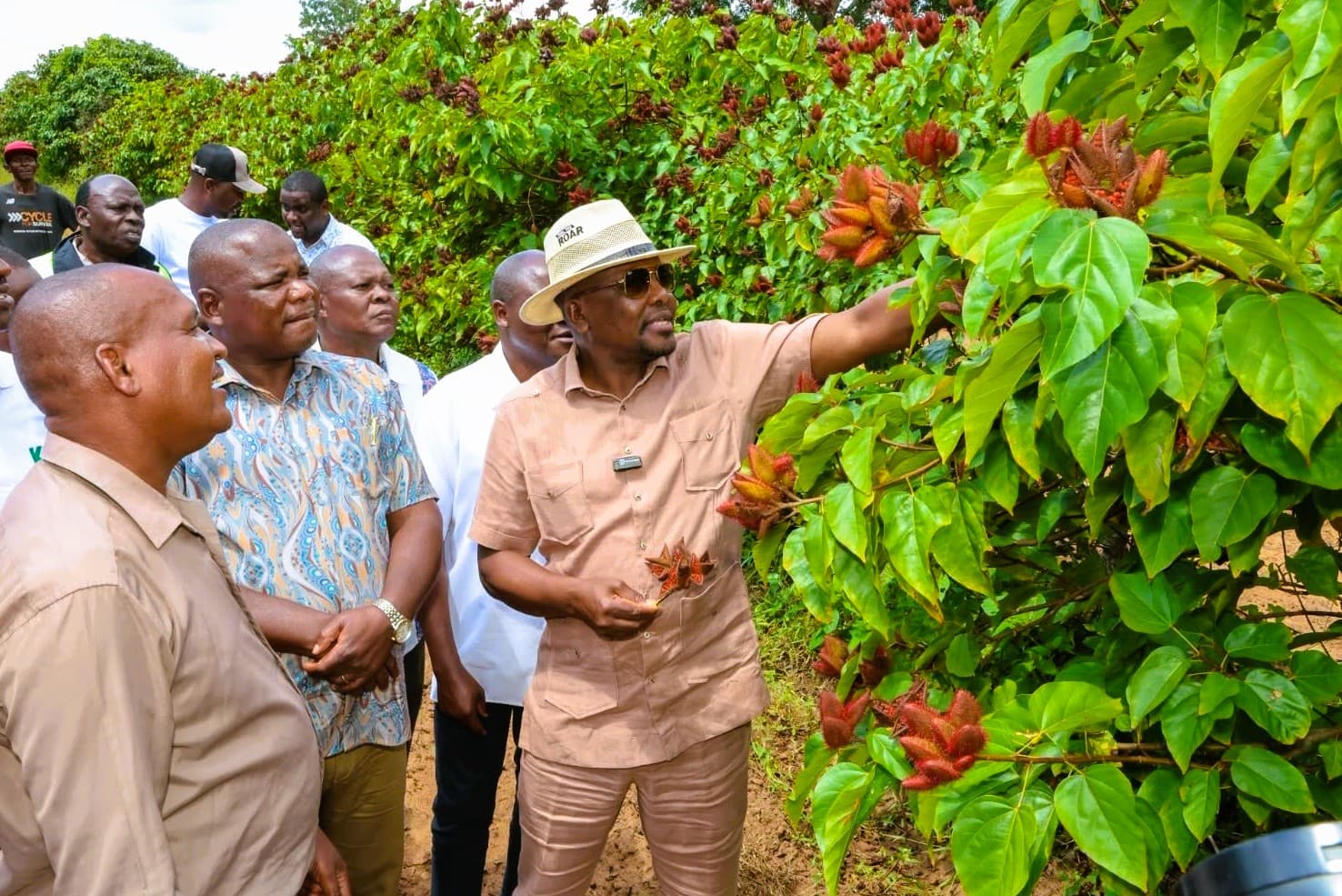 Govt unveils plan to expand bixa farming